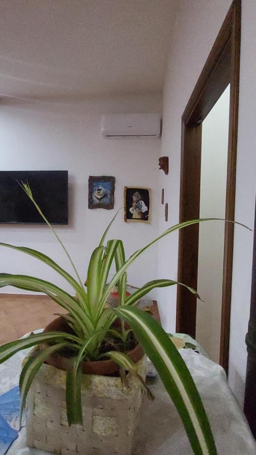 Alloggio in famiglia Paraiso Sardo 1 Villasimius